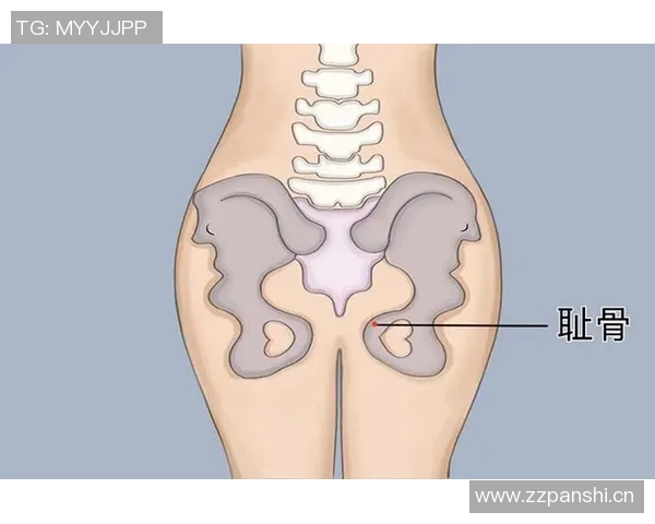 比利时专家乐观亚马尔耻骨炎，未来恢复充满希望